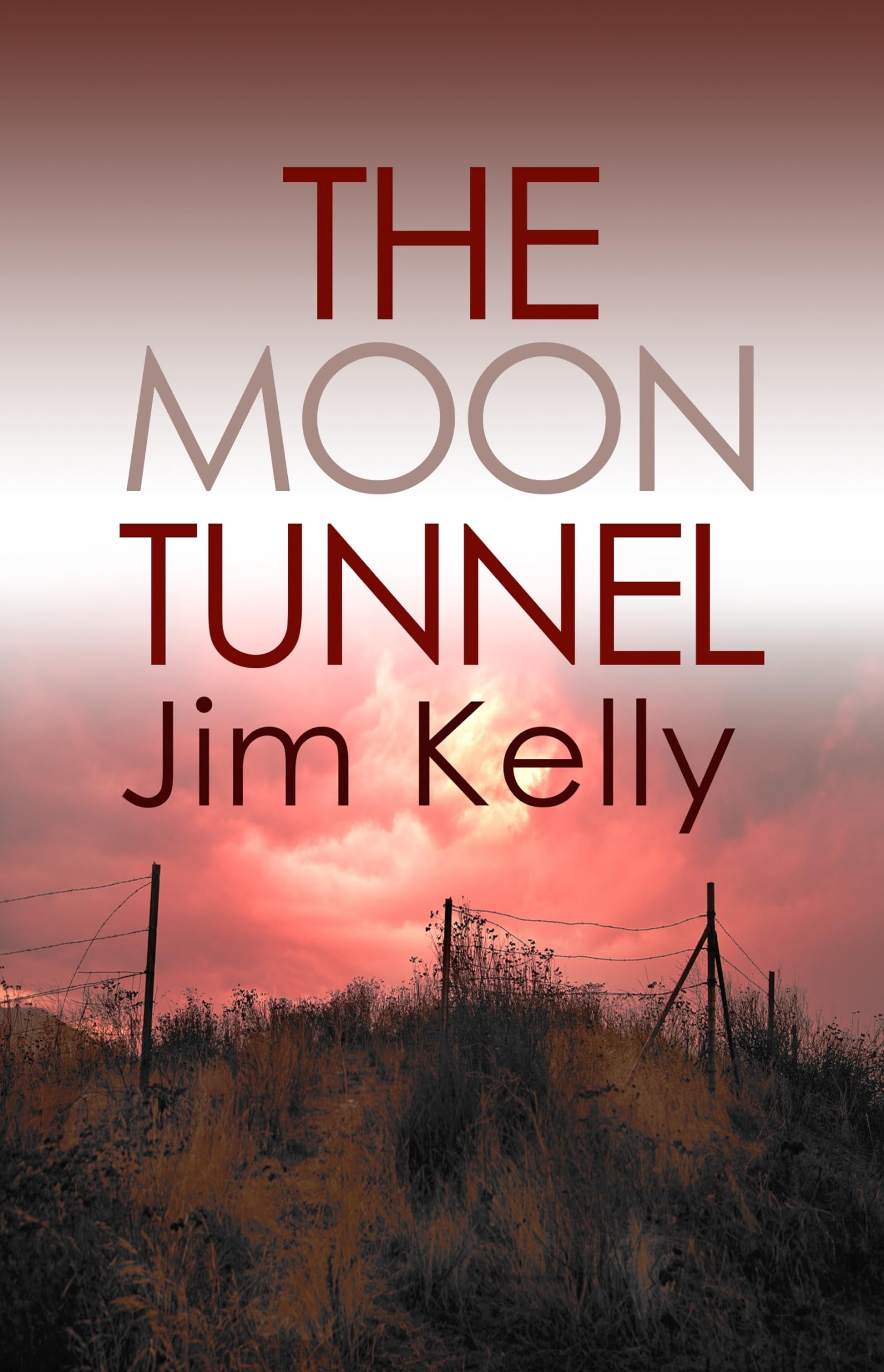 The Moon Tunnel: The past is not buried deep in Cambridgeshire (Dryden Mysteries, Band 3) Contemporary literature