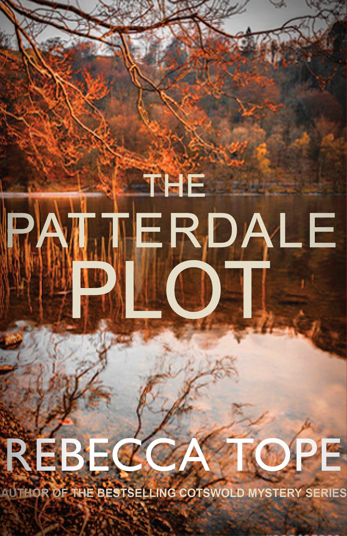The Patterdale Plot Contemporary literature Books