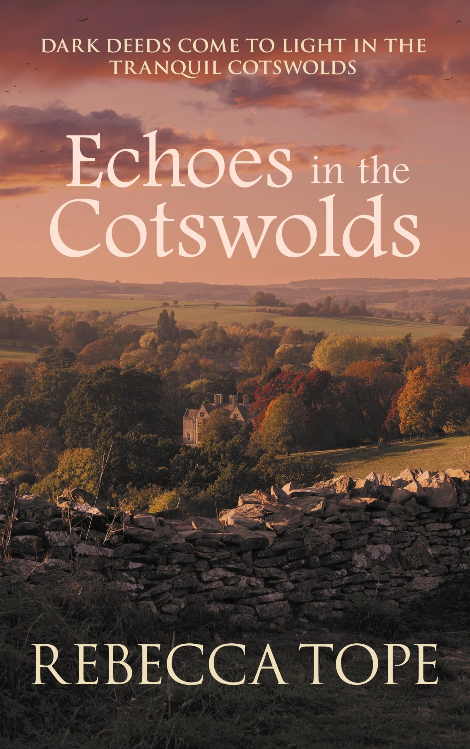 Echoes in the Cotswolds: The engrossing cosy crime series (Cotswold Mysteries) Contemporary literature