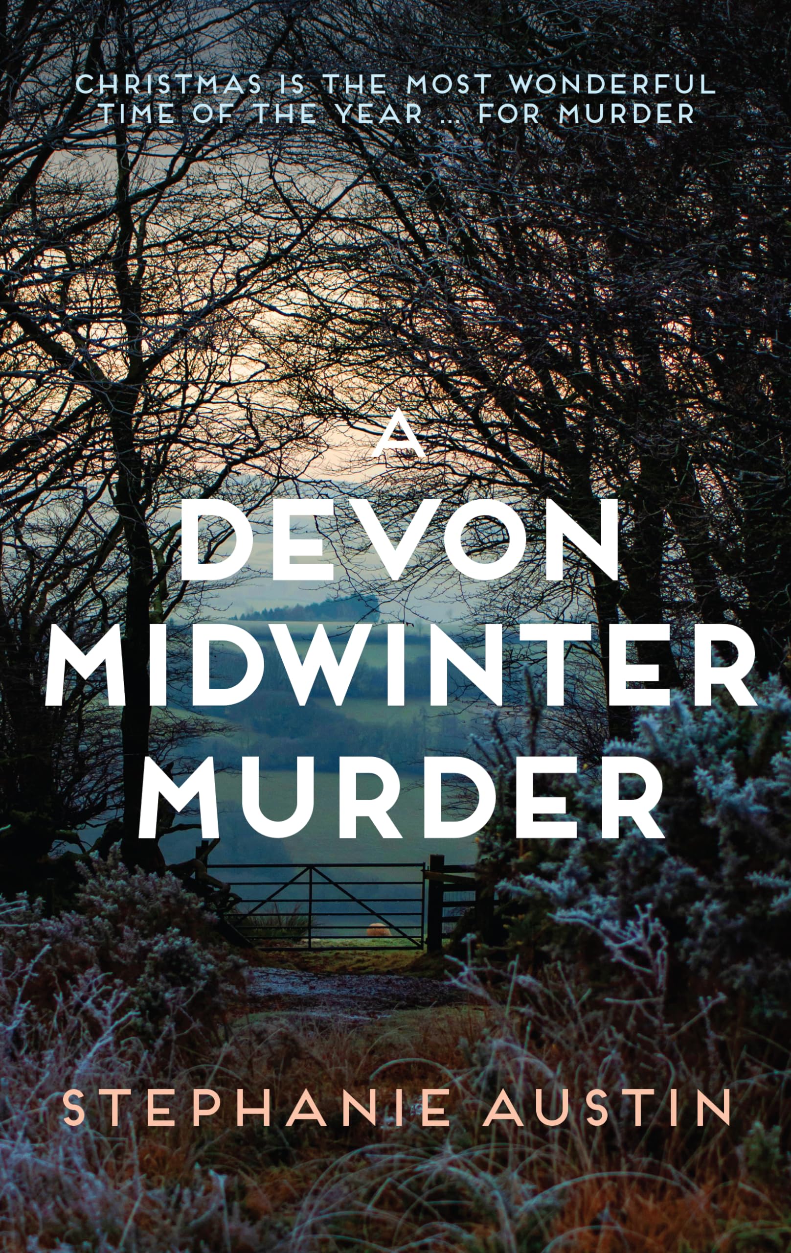 A Devon Midwinter Murder: The Must-Read Cosy Crime Series (Devon Mysteries) Contemporary literature