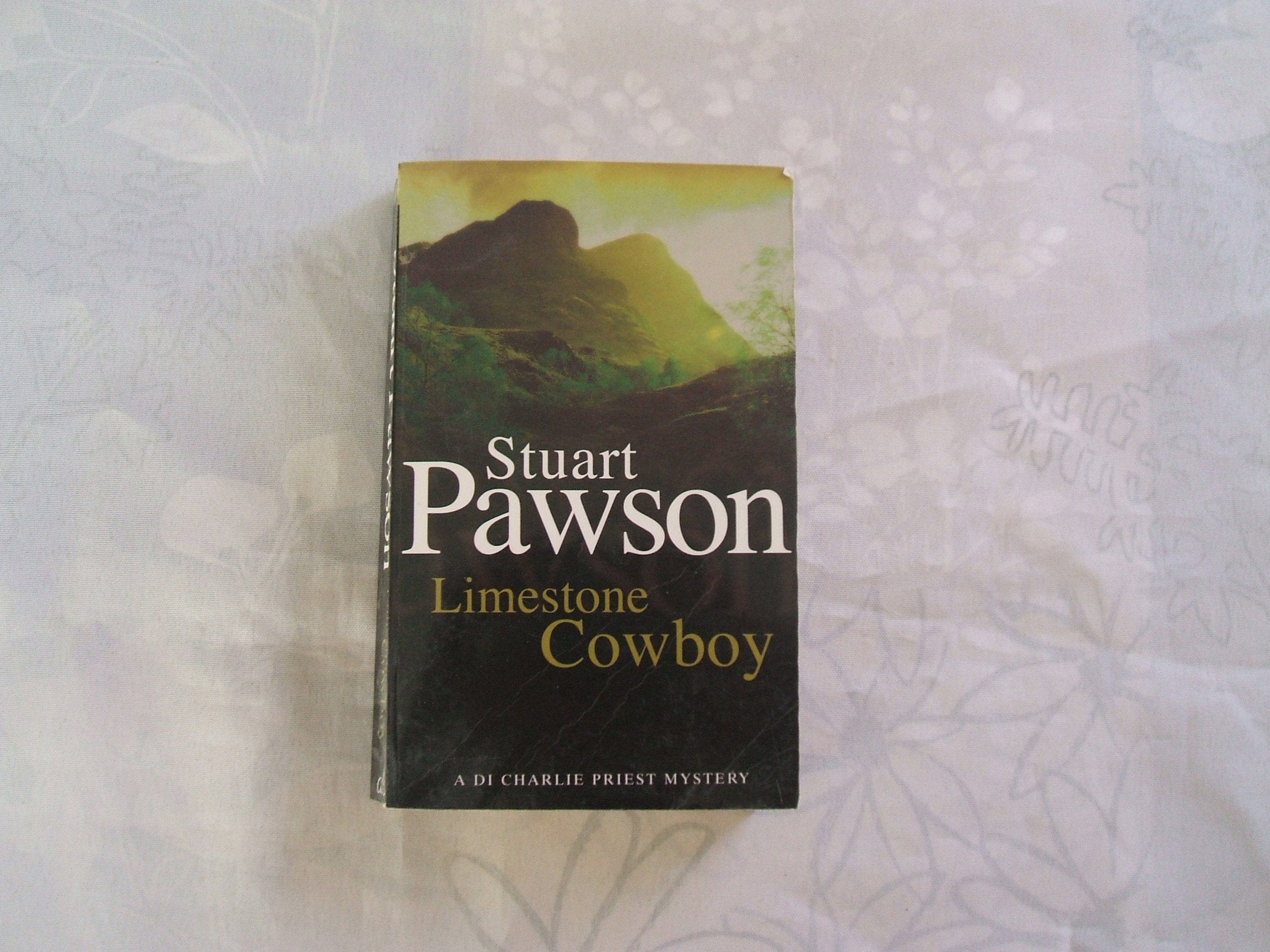 Limestone Cowboy: A DI Charlie Priest Mystery Contemporary literature
