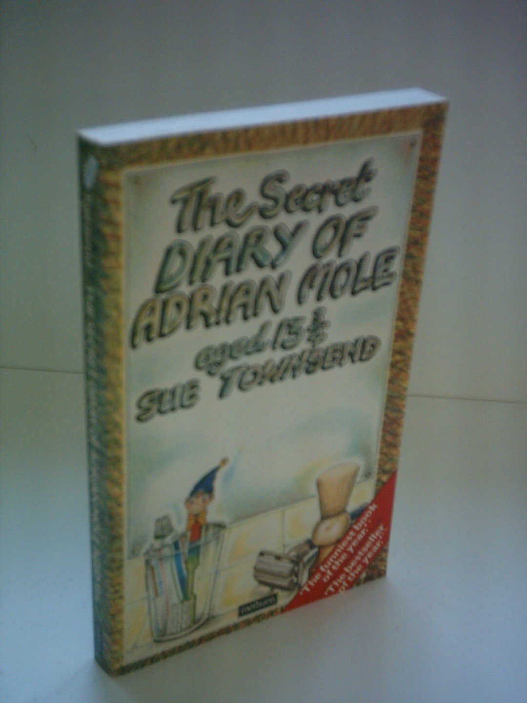 The Secret Diary of Adrian Mole Aged 13 3/4 book