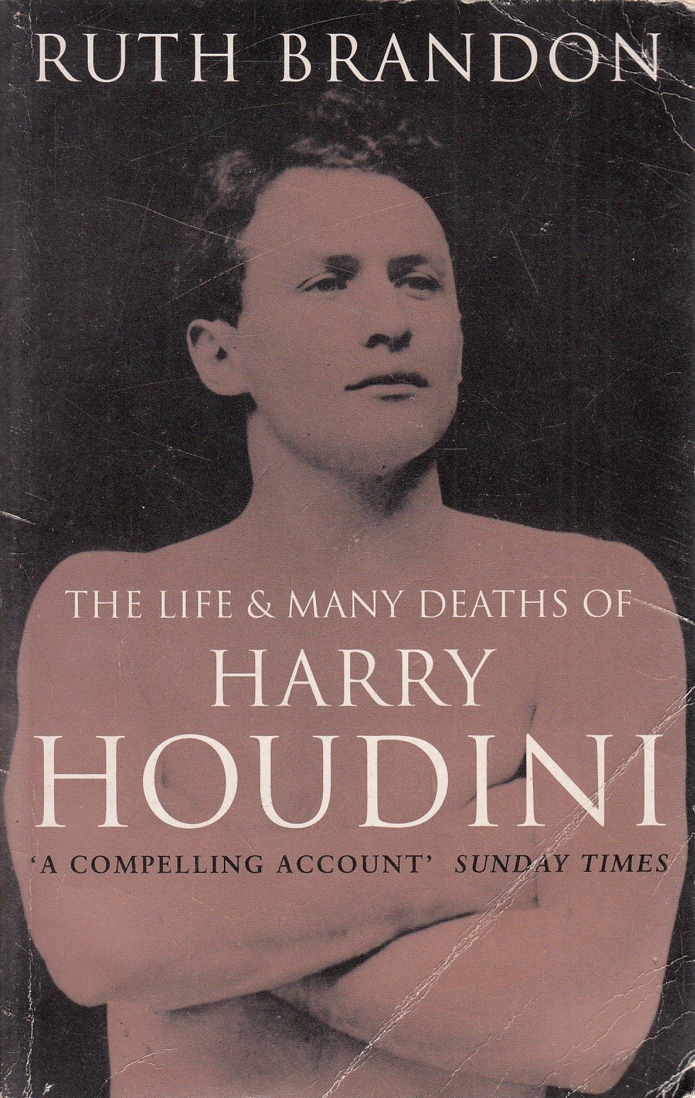 The Life and Many Deaths of Harry Houdini book