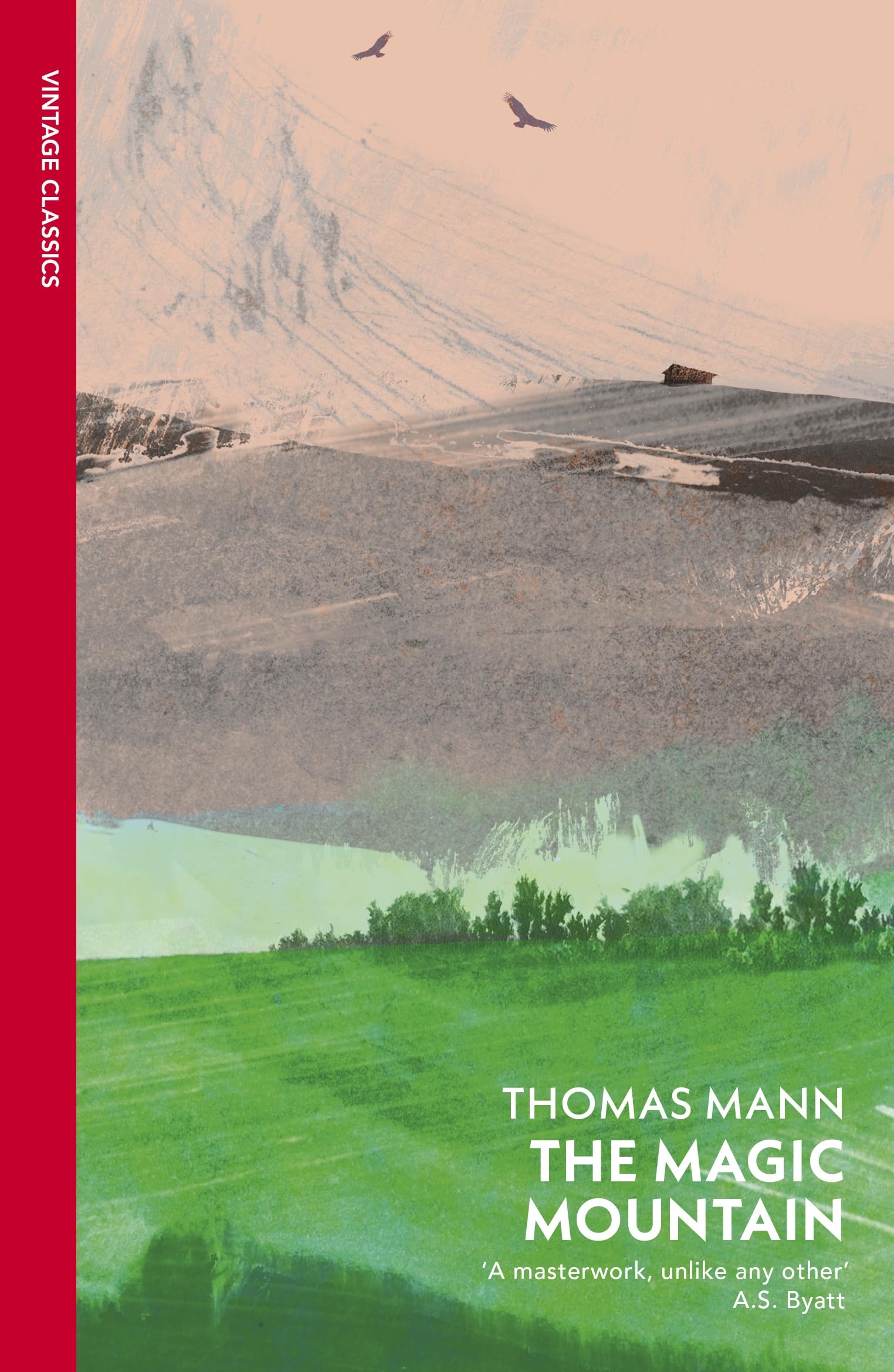 The Magic Mountain Contemporary literature Books