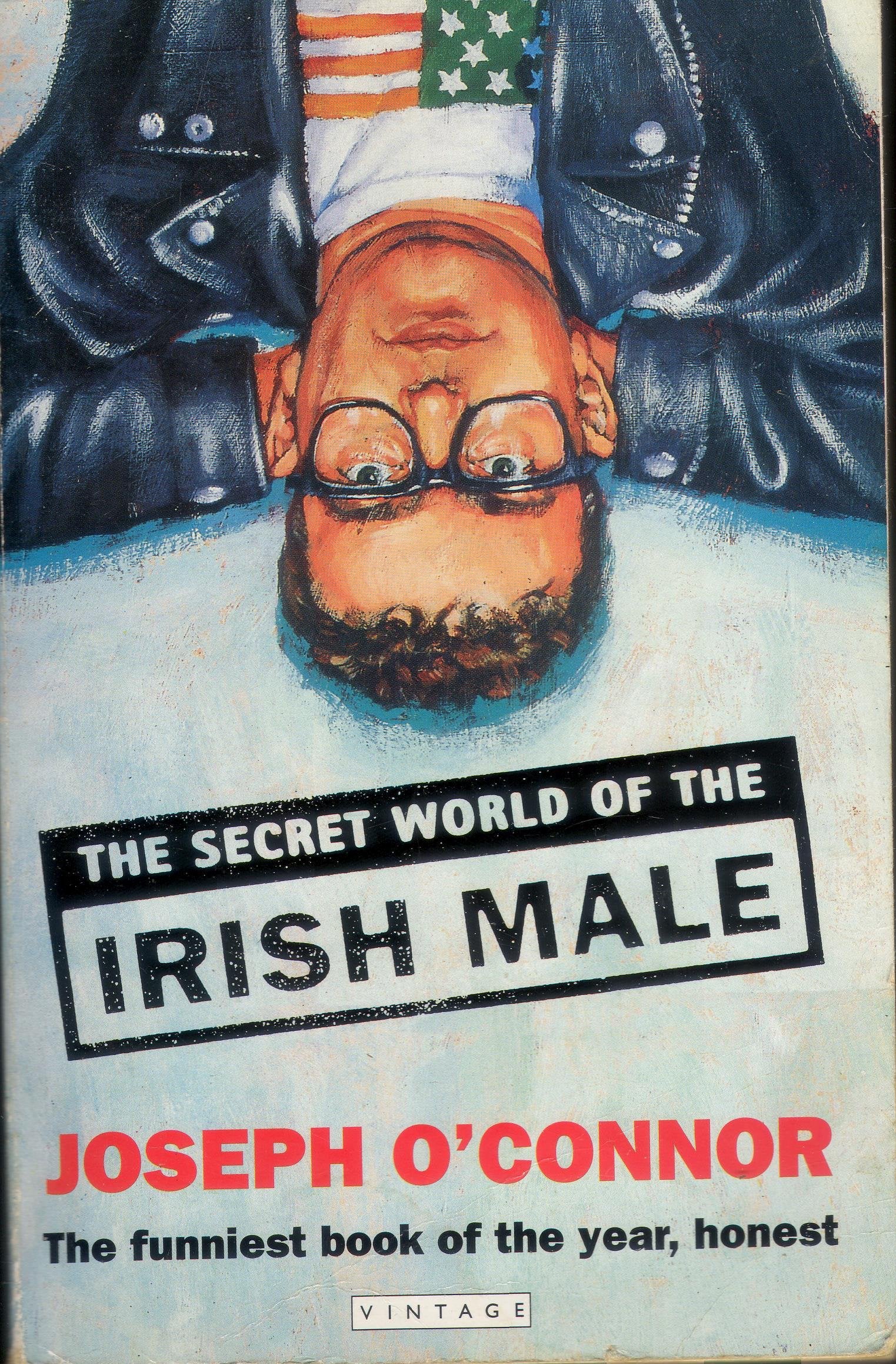 The Secret World of the Irish Male General education
