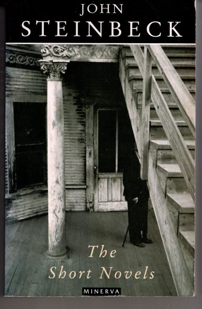 The Short Novels Essays & Short Stories