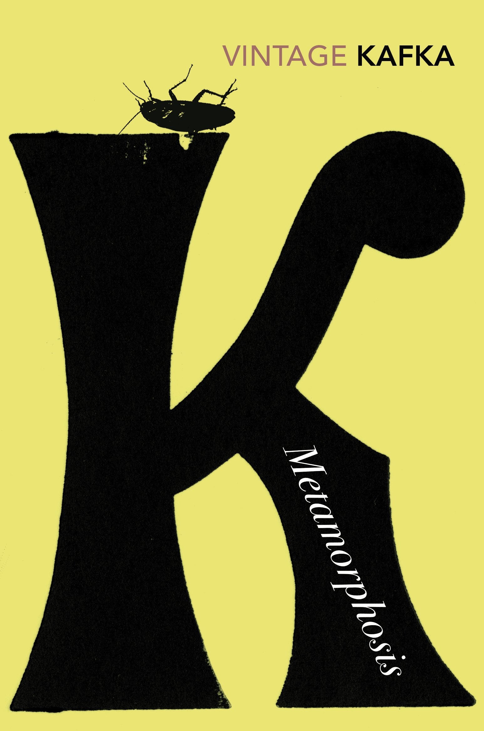 Metamorphosis and Other Stories: Franz Kafka (Vintage Classics) Essays & Short Stories