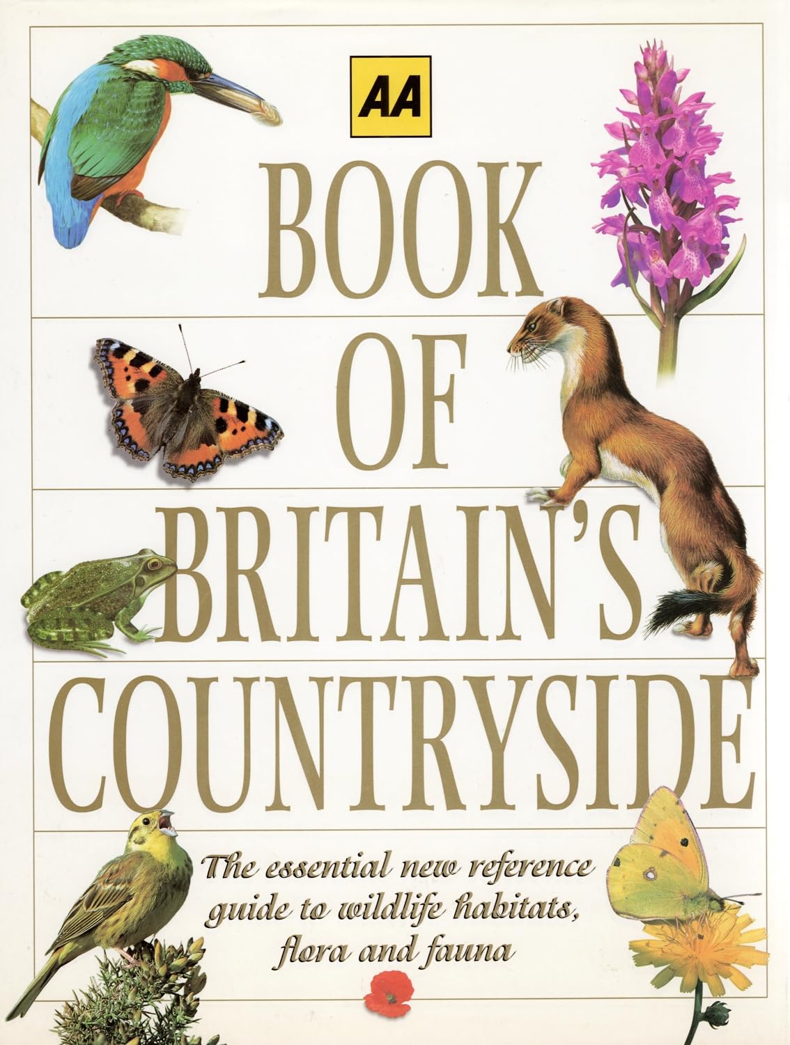 Book of the Countryside (AA Illustrated Reference) Mathematics