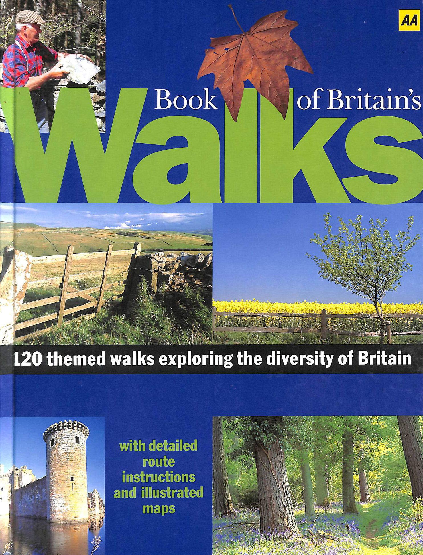 Book of Britain's Walks (AA Illustrated Reference) Leisure, Home & Garden