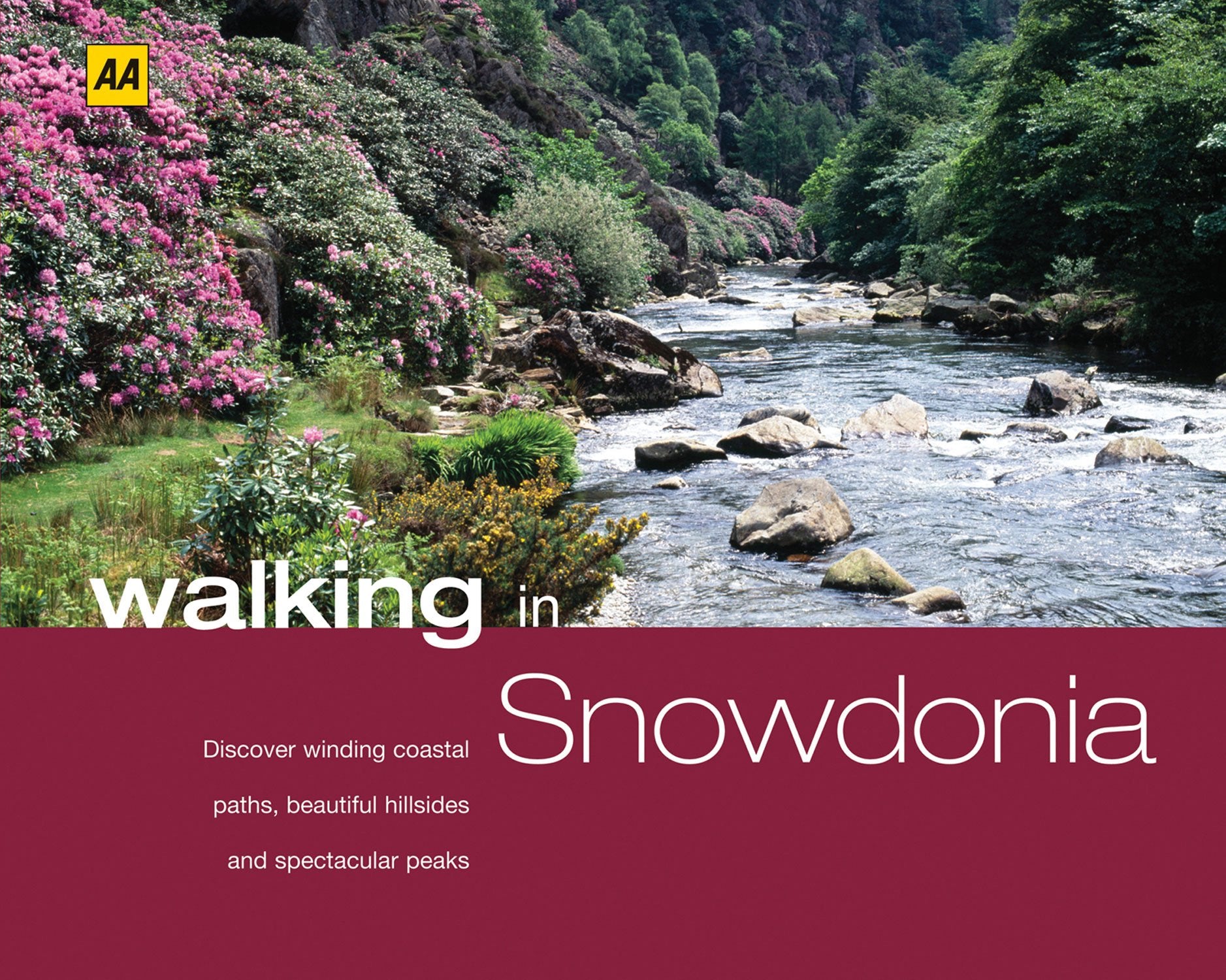 Walking in Snowdonia & North Wales: Discover Winding Coastal Paths, Beautiful Hillsides and Spectacular Peaks (Aa Walking in) Leisure, Home & Garden