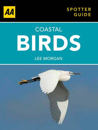 Coastal Birds (AA Spotter Guides) Mathematics