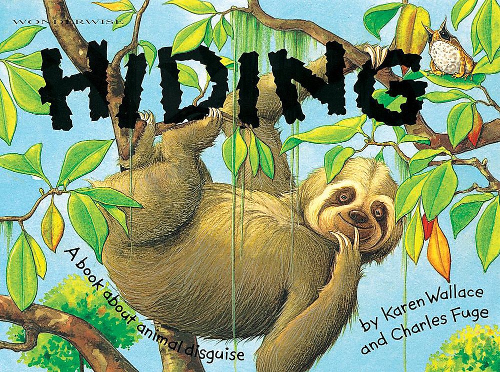 Hiding: A book about animal disguises book