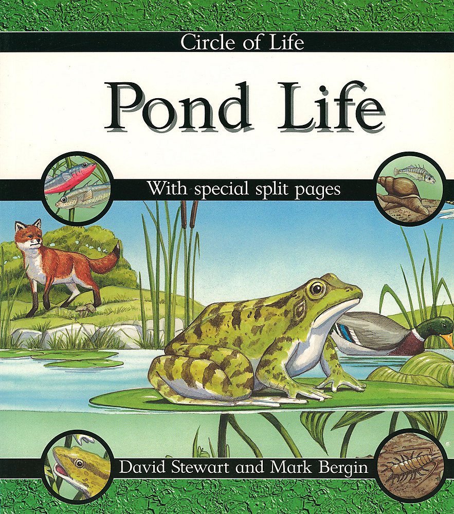 Pond Life (Circle of Life, Band 2) Non-fiction