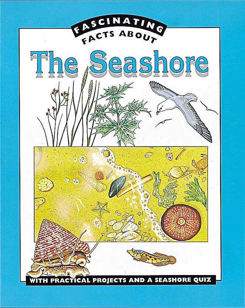 The Seashore (Fascinating Facts About, Band 1) Geology & Geography