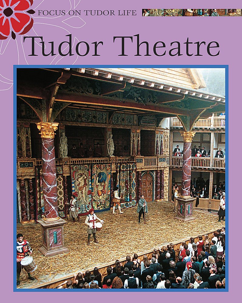 Plays & the Theatre (Focus on Tudor Life) Books