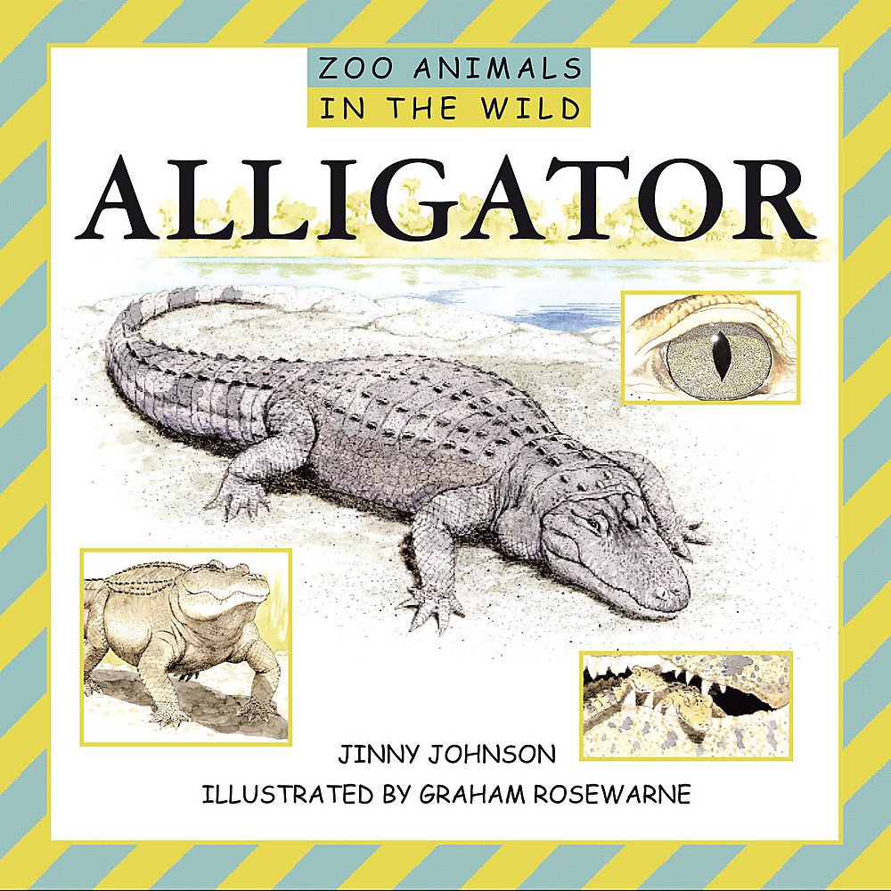 Alligators (Zoo Animals In The Wild, Band 9) Non-fiction