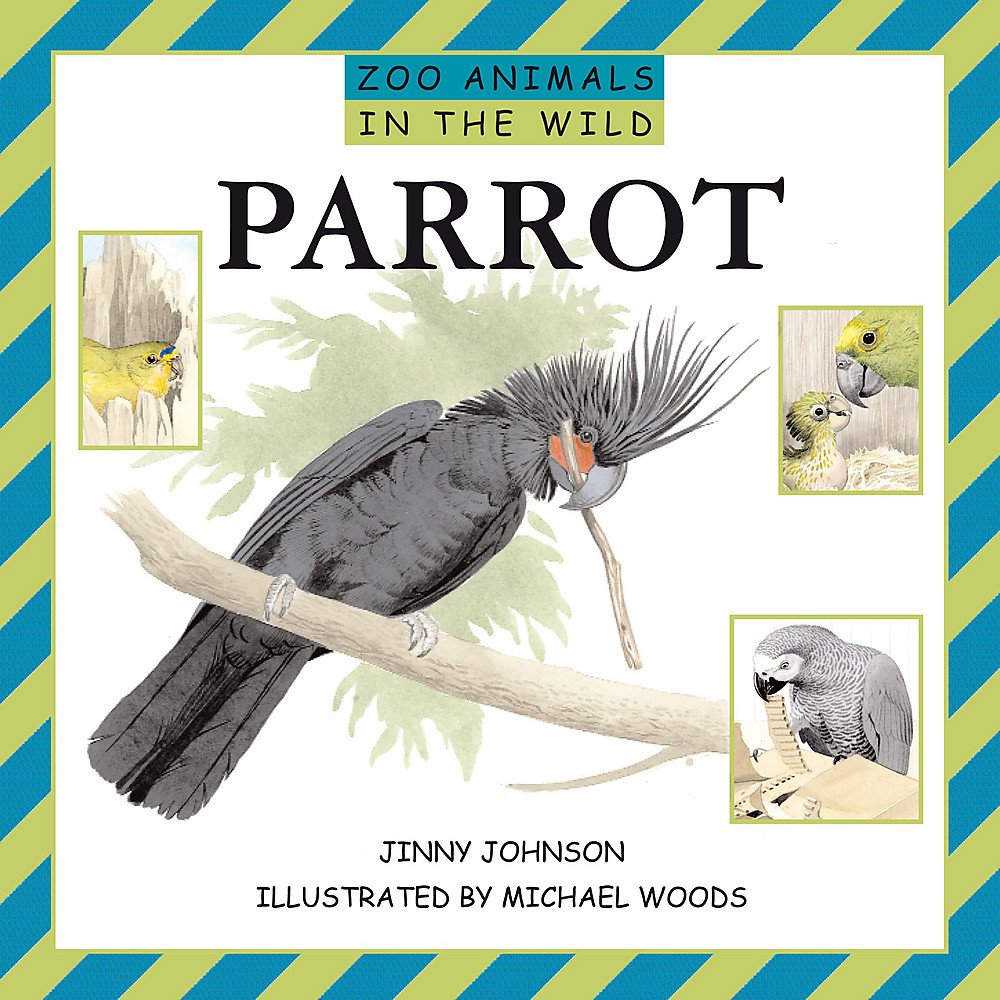 Parrots (Zoo Animals In The Wild, Band 11) Non-fiction