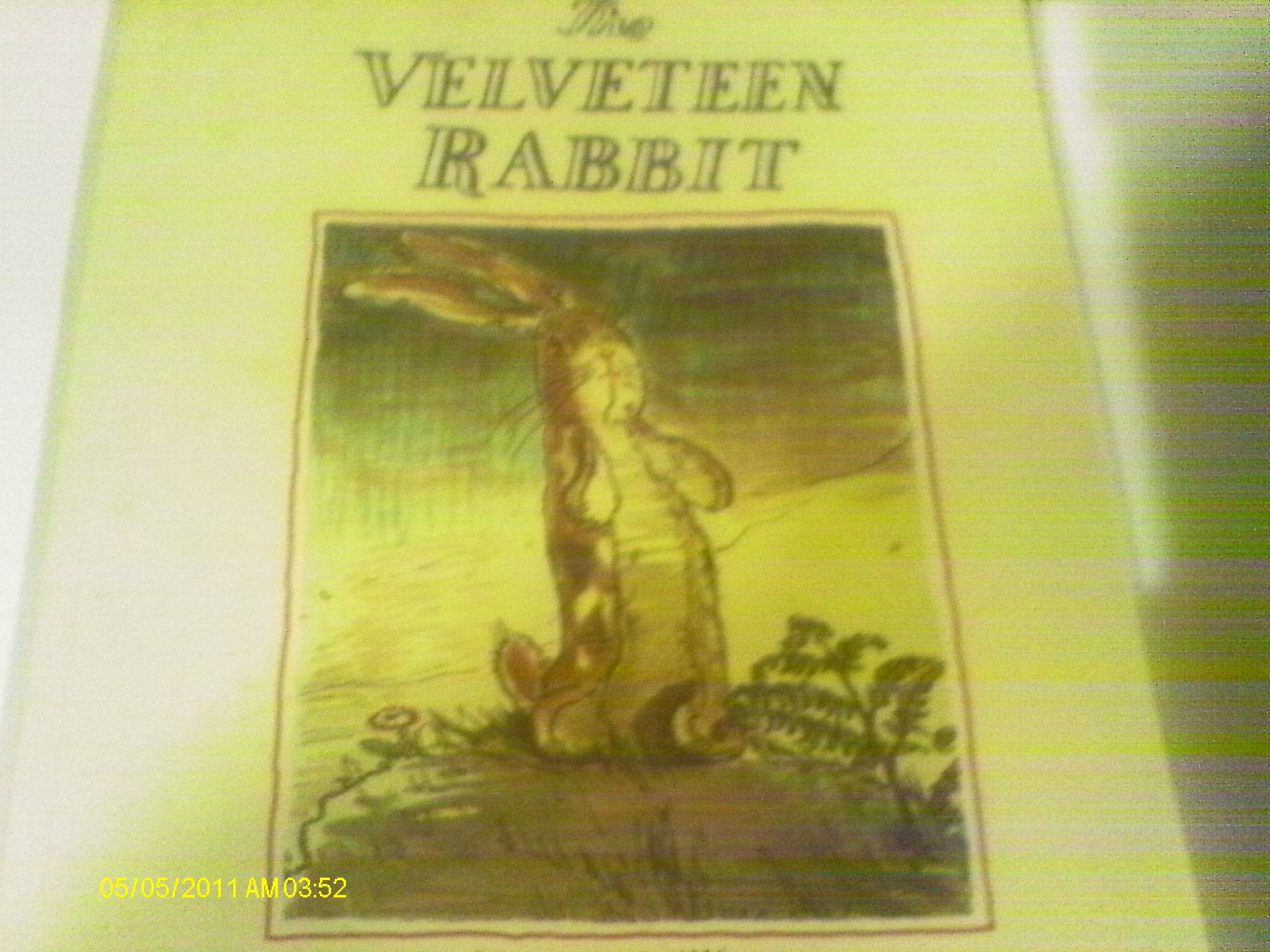 The Velveteen Rabbit Novels & Short Stories