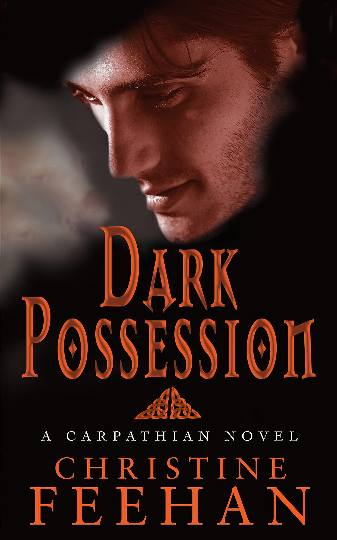 Dark Possession: Number 18 in series (Dark Carpathian) Horror & Mystery