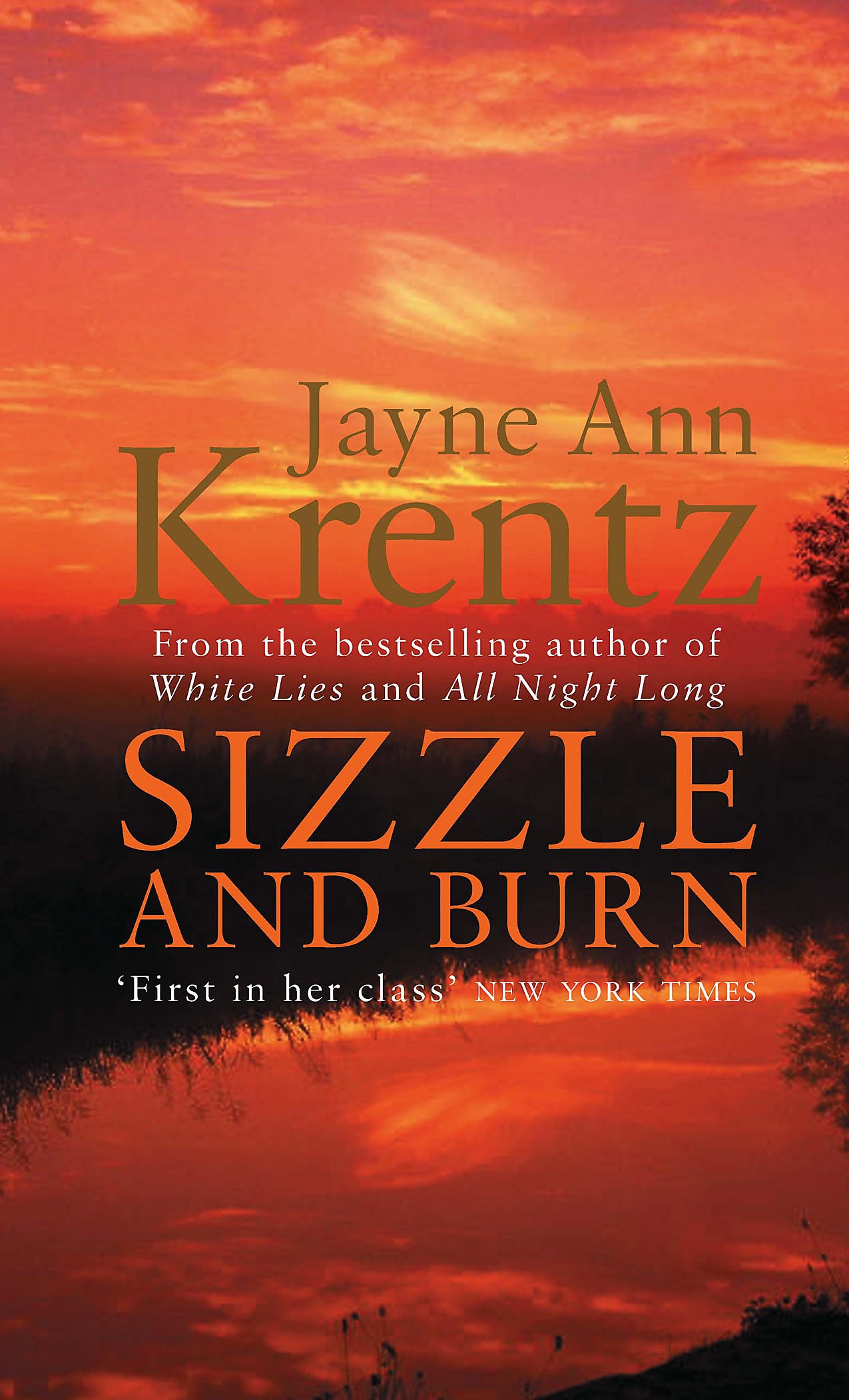 Sizzle And Burn: Number 3 in series (Arcane Society) Contemporary literature