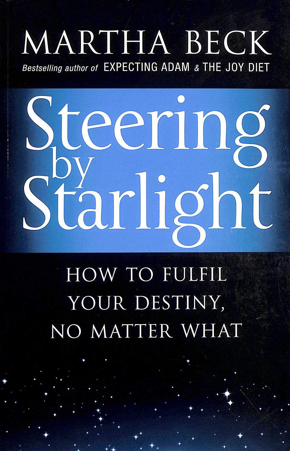 Steering By Starlight: How to fulfil your destiny, no matter what Lifestyle