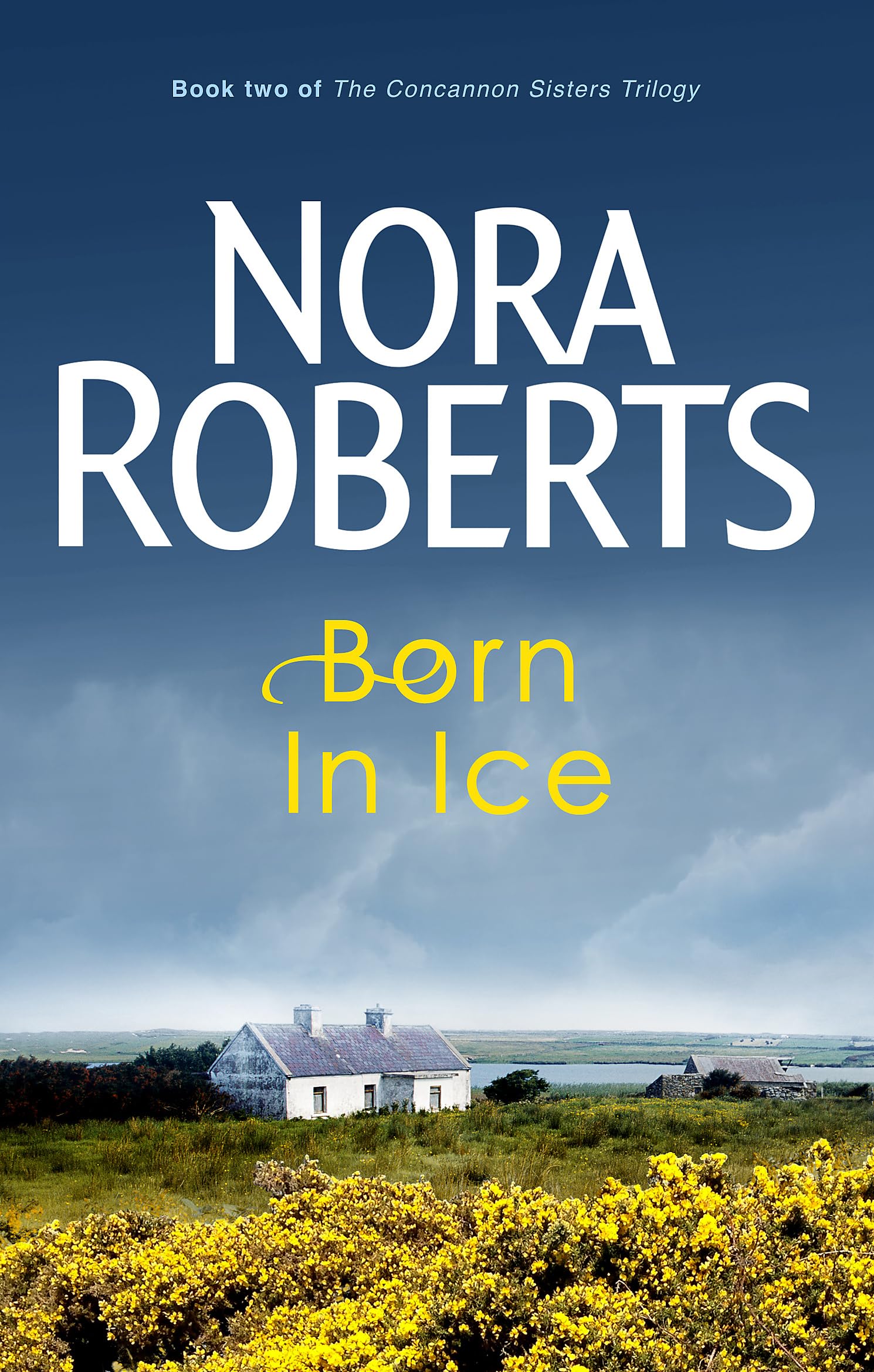 Product Image: Born In Ice