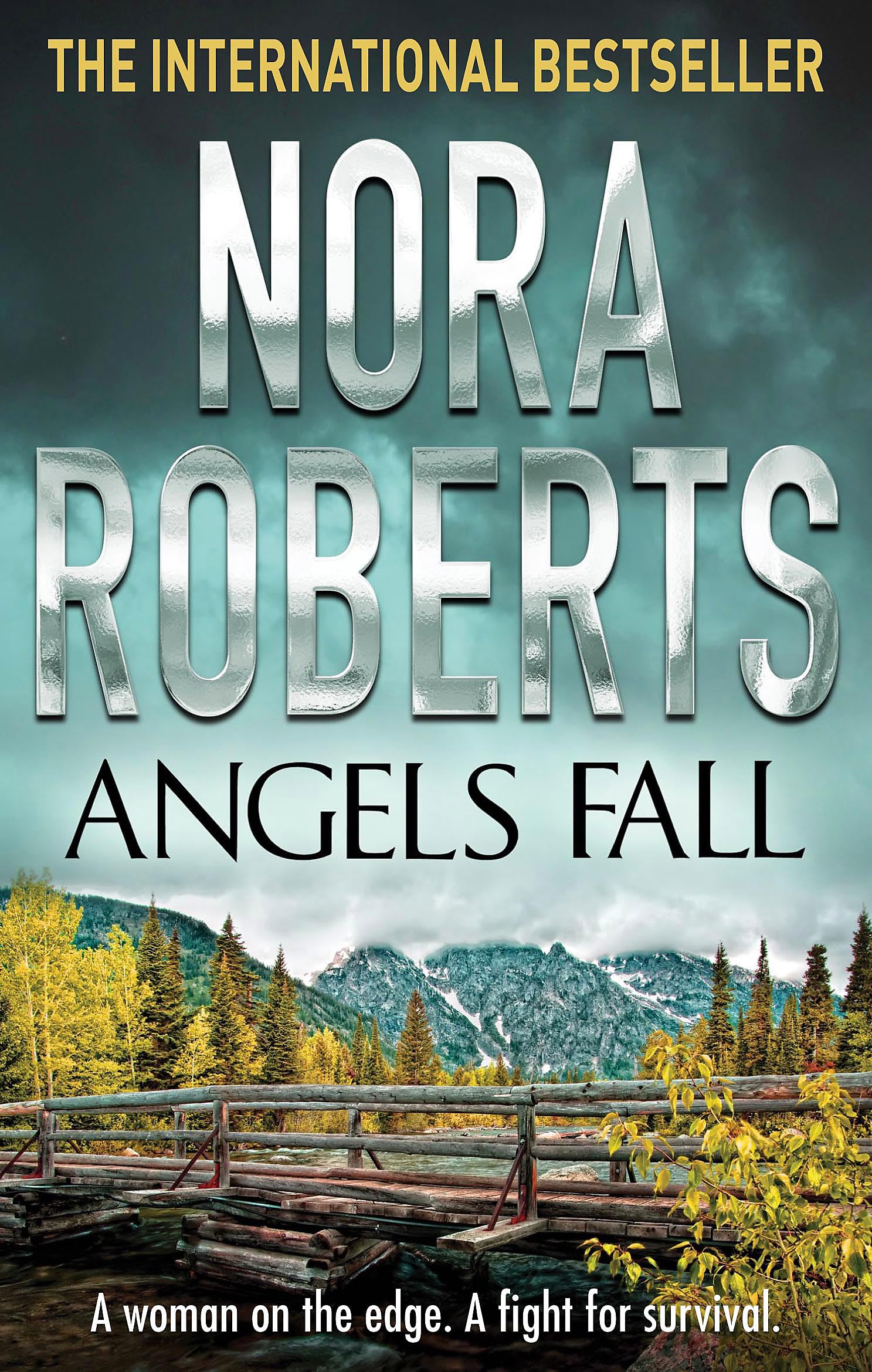 Angels Fall: A woman on the edge. A fight for survival Contemporary literature