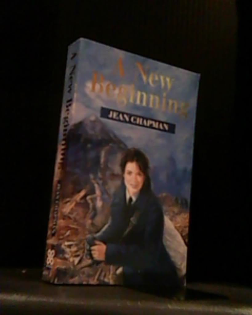 New Beginnings book