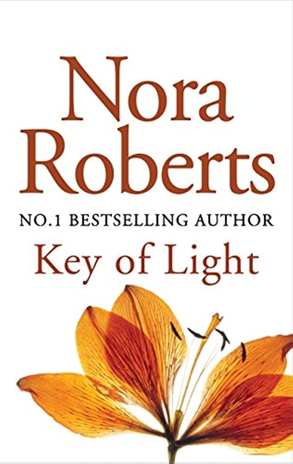Key of Light: Number 1 in series (Key Trilogy) Contemporary literature