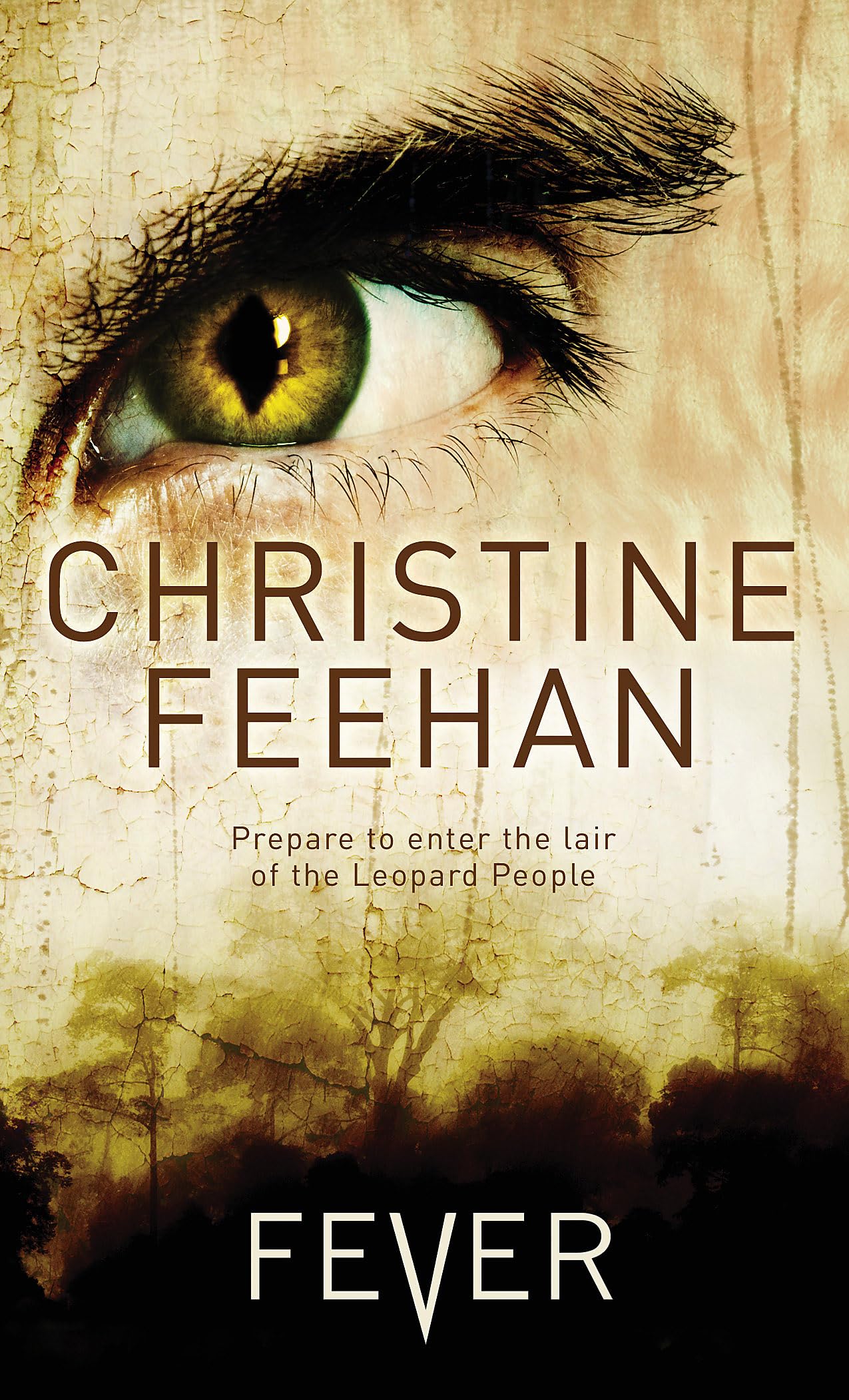 Fever Contemporary literature Books