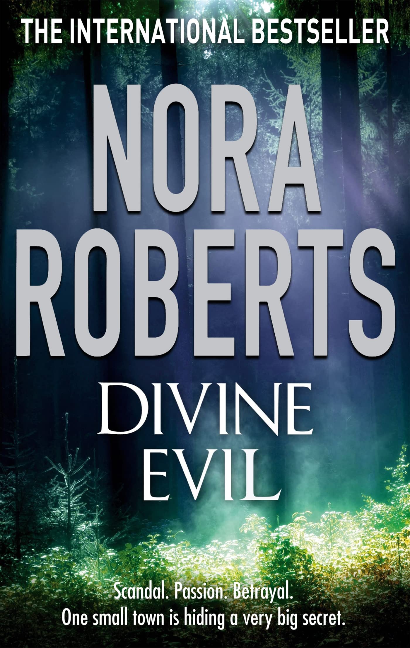 Divine Evil Contemporary literature Books
