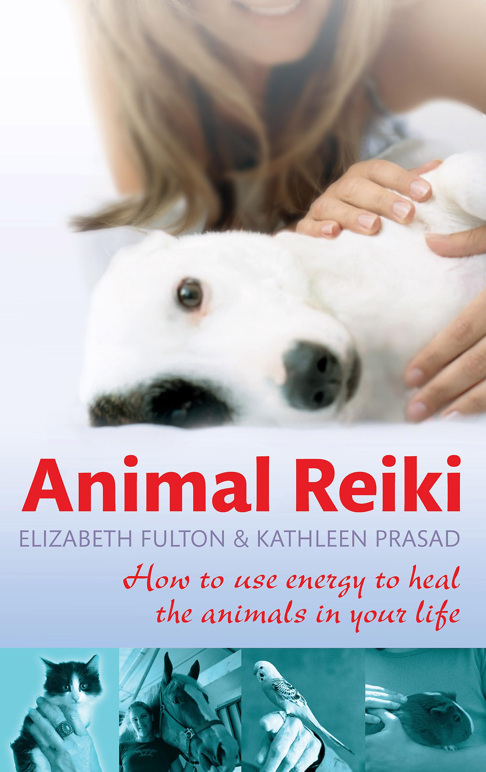 Animal Reiki: How to use energy to heal the animals in your life Medicine