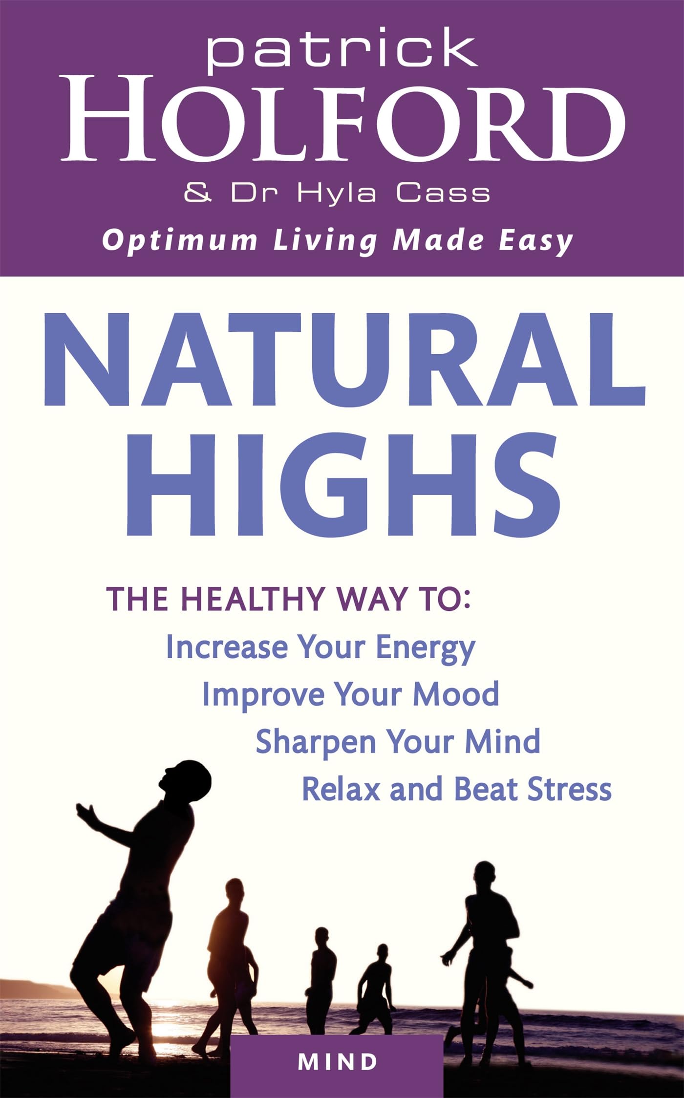 Natural Highs: The healthy way to increase your energy, improve your mood, sharpen your mind, relax and beat stress Business, Finance & Career