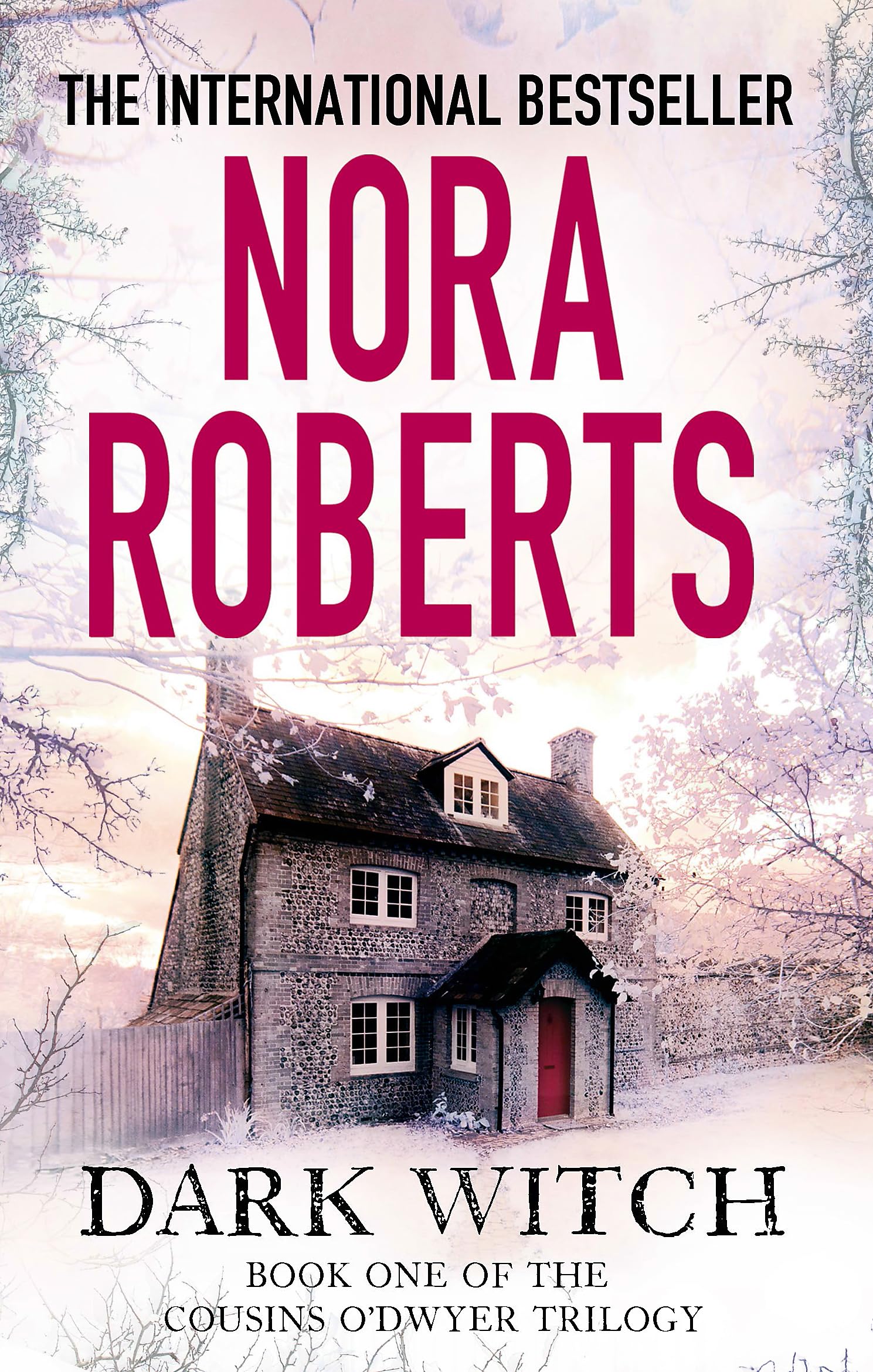 Dark Witch (The Cousins O’Dwyer Trilogy) Contemporary literature