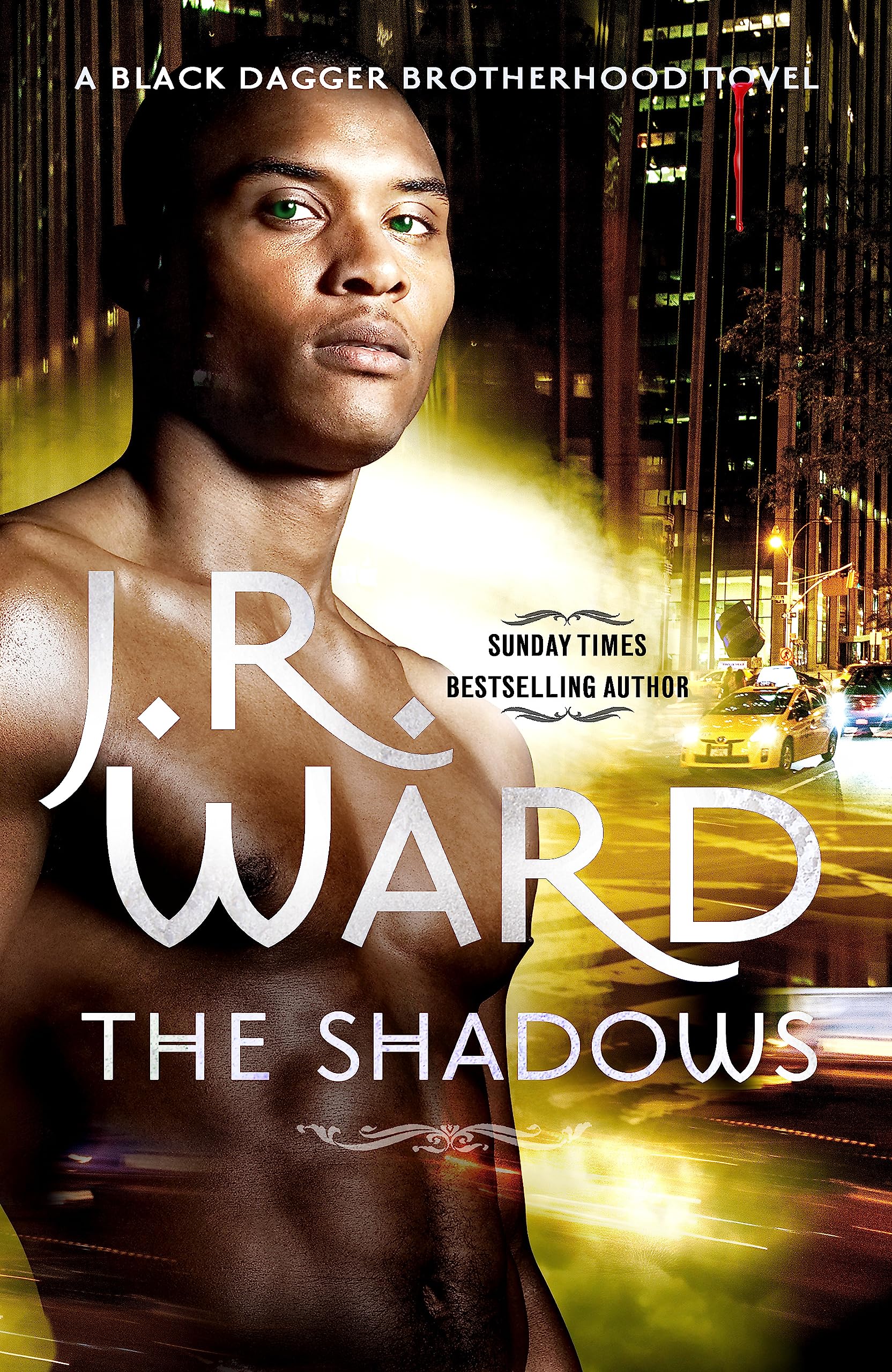 The Shadows Contemporary literature Books