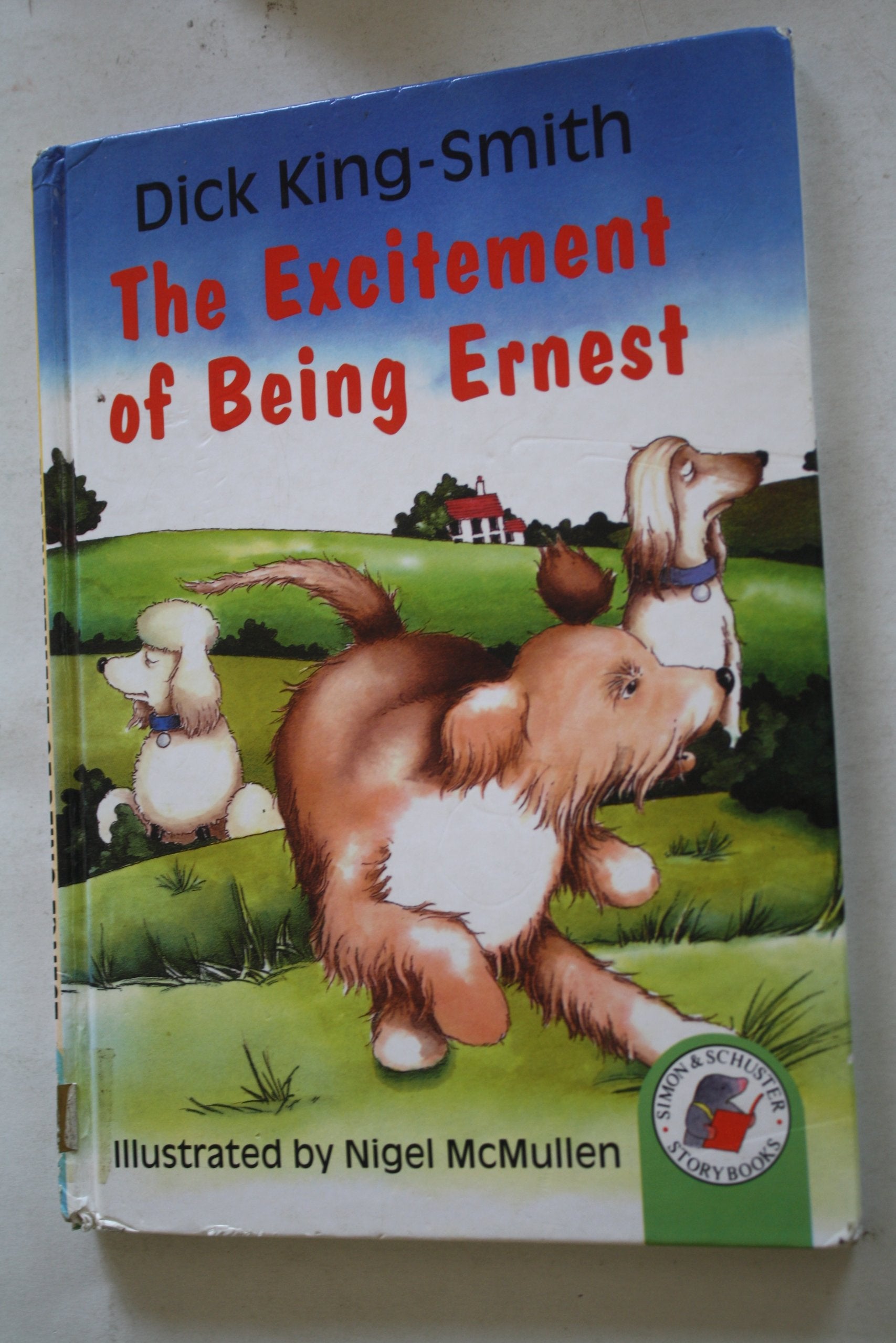 The Excitement Of Being Ernest (Yellow Storybooks, Band 39) Novels & Short Stories