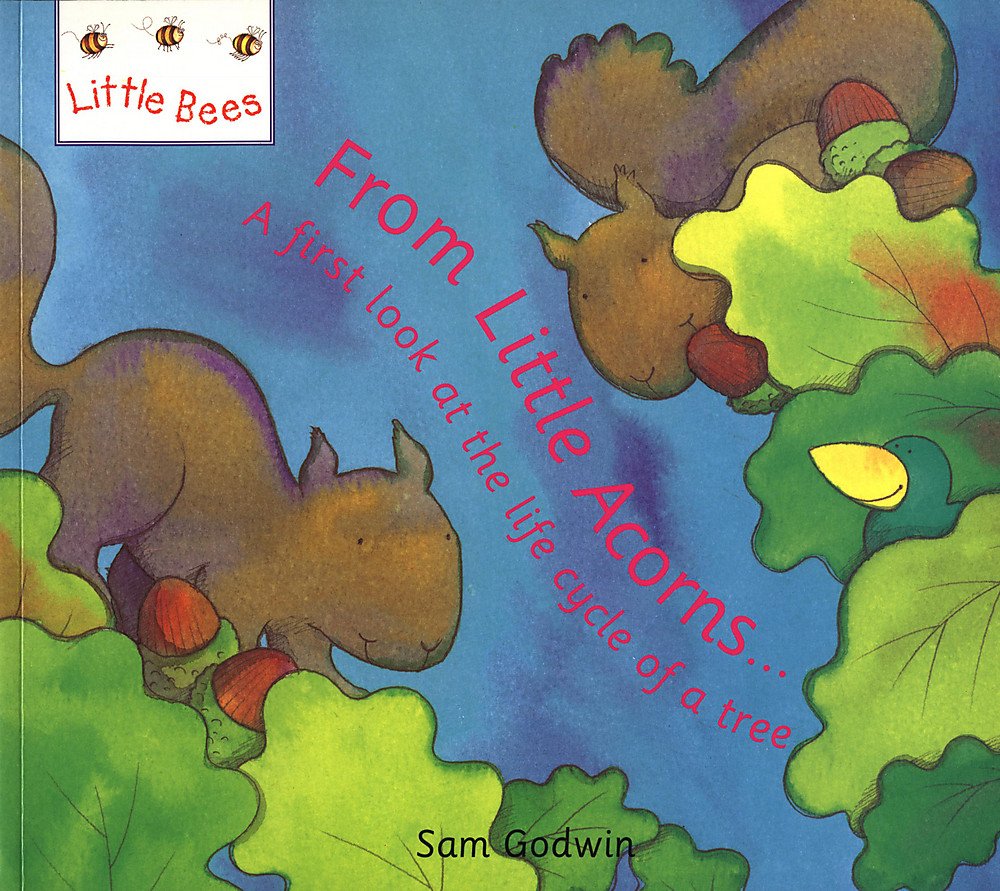 From Little Acorns...: A first look at the life cycle of a tree book