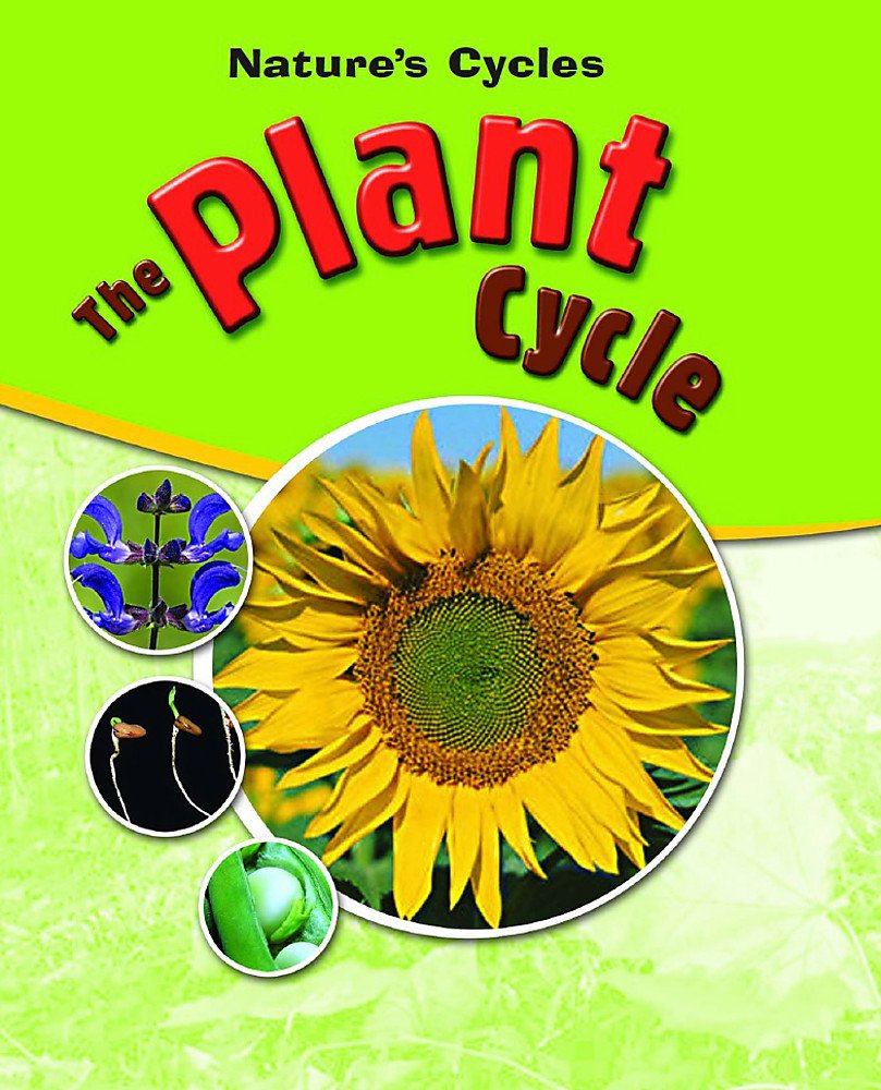 Nature's Cycles: The Plant Cycle Non-fiction