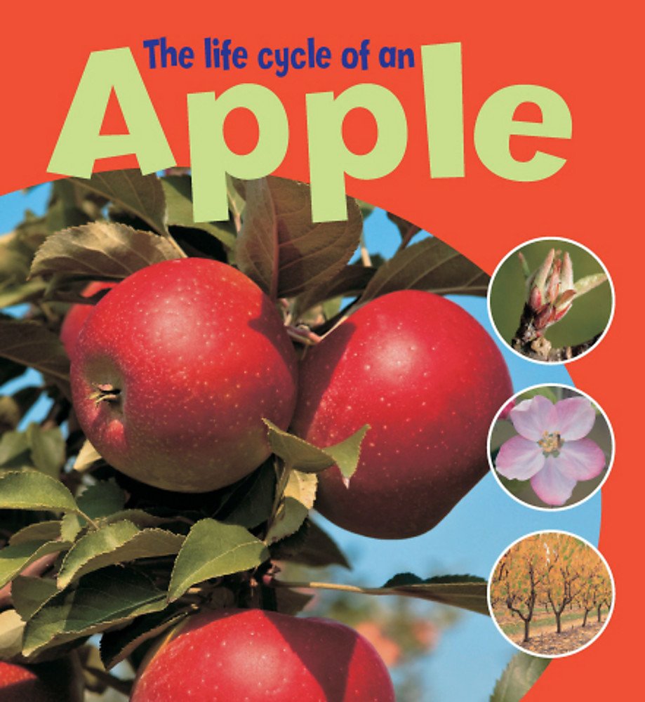 The Life Cycle of an Apple (Learning About Life Cycl) Study Guides
