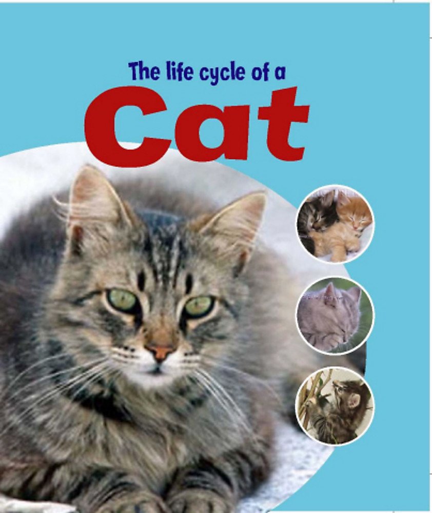 Learning About Life Cycles: The Life Cycle of A Cat Non-fiction