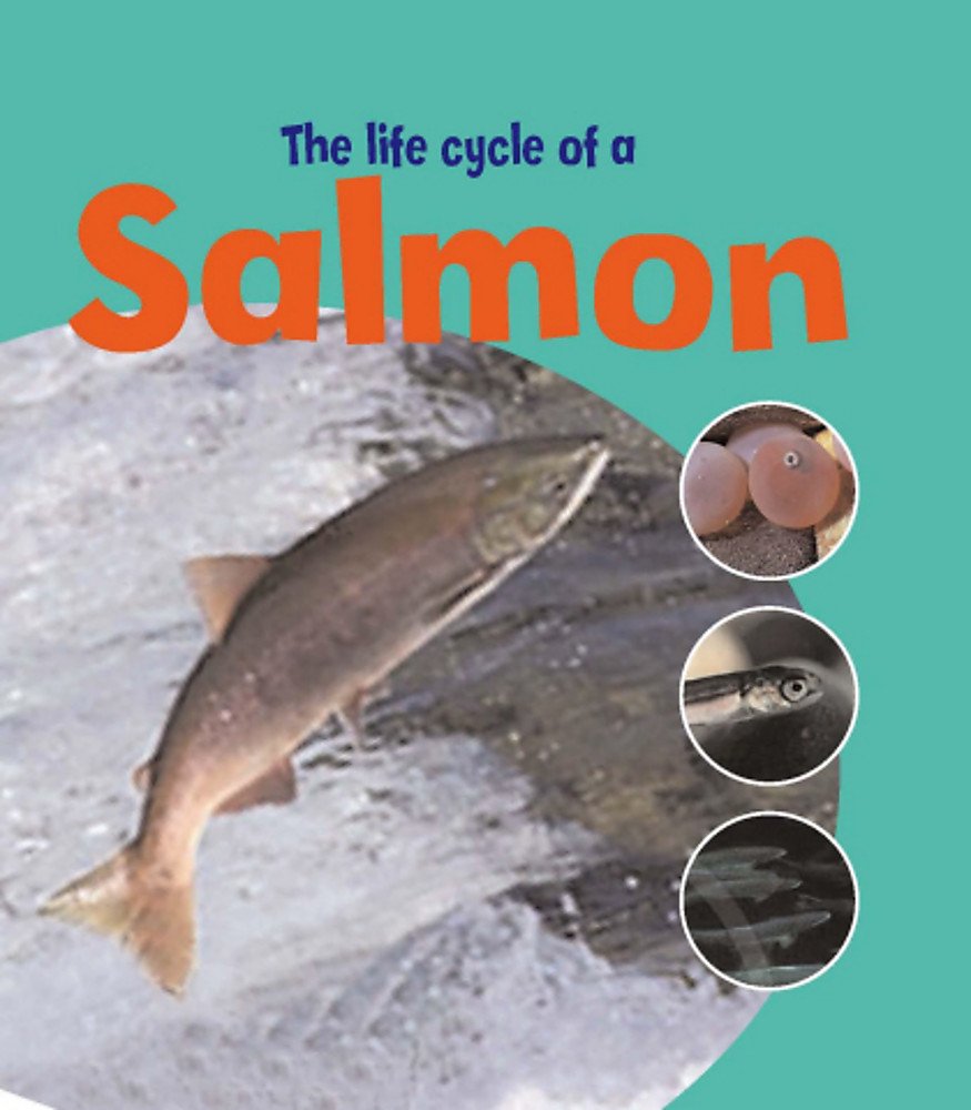Learning About Life Cycles: The Life Of A Salmon Non-fiction