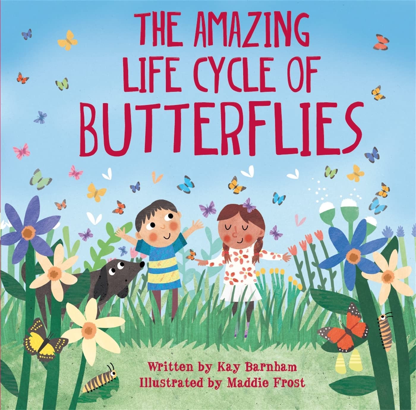 The Amazing Life Cycle of Butterflies (Look and Wonder) Non-fiction