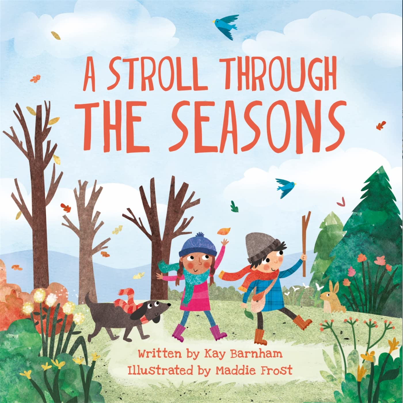 A Stroll Through the Seasons (Look and Wonder) Non-fiction
