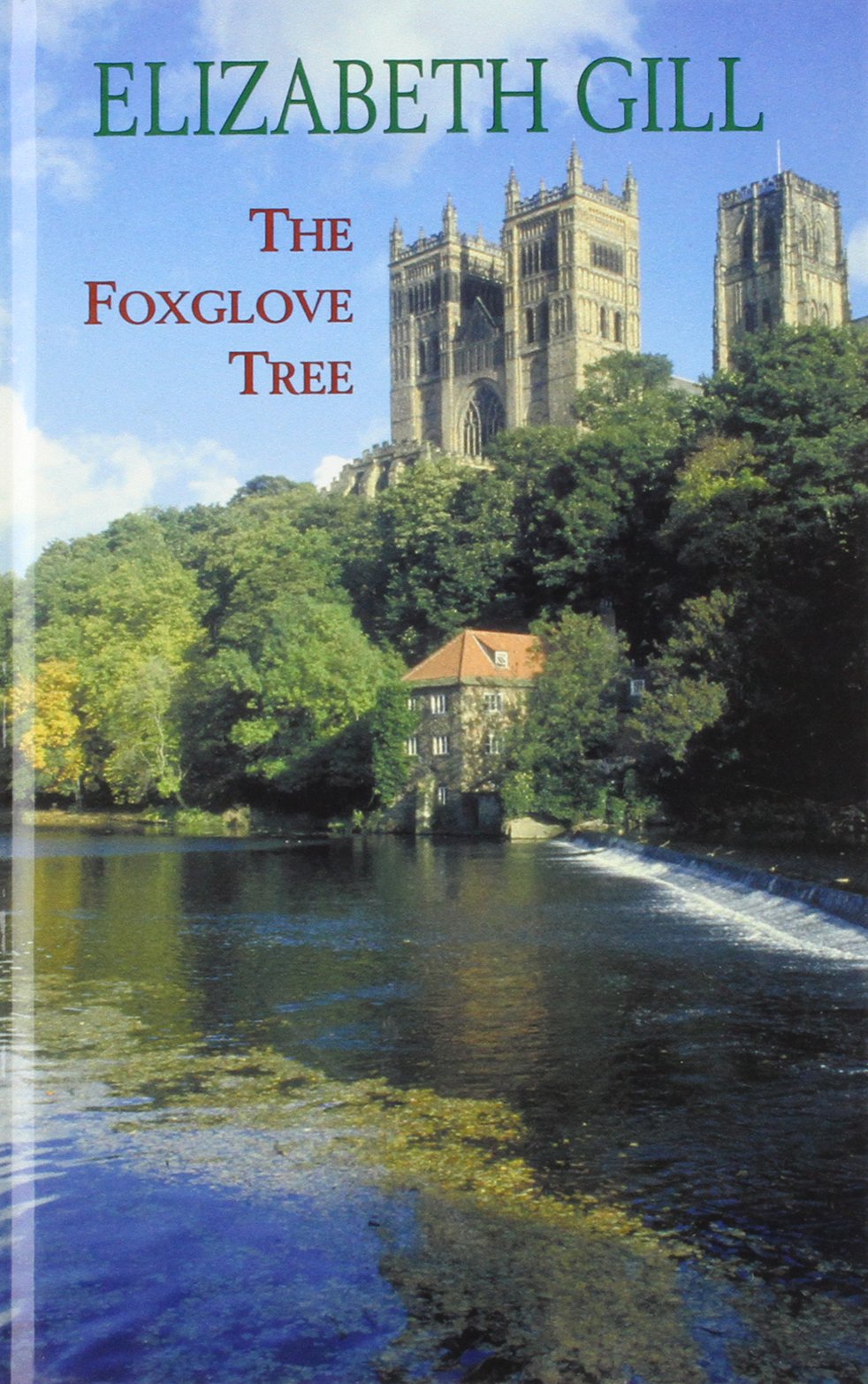 The Foxglove Tree Contemporary literature Books