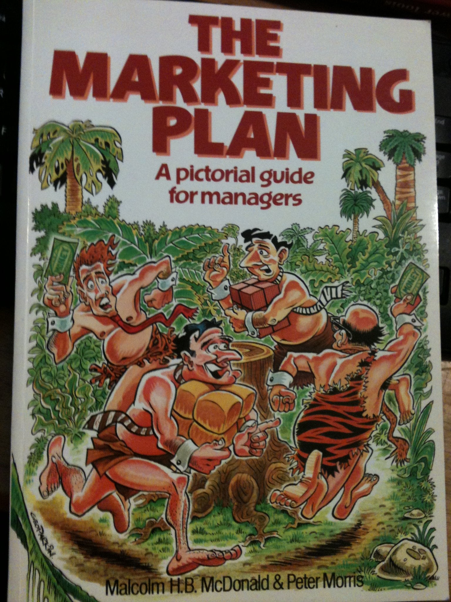 Marketing Plan: A Pictorial Guide for Managers: A pictorial guide for managers Business, Finance & Career