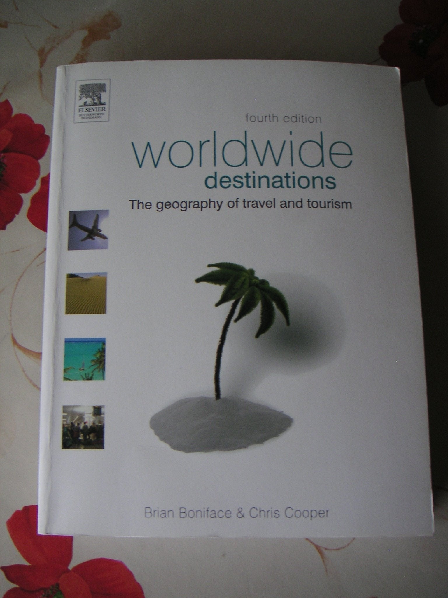 Worldwide Destinations: The Geography Of Travel And Tourism Business, Finance & Career