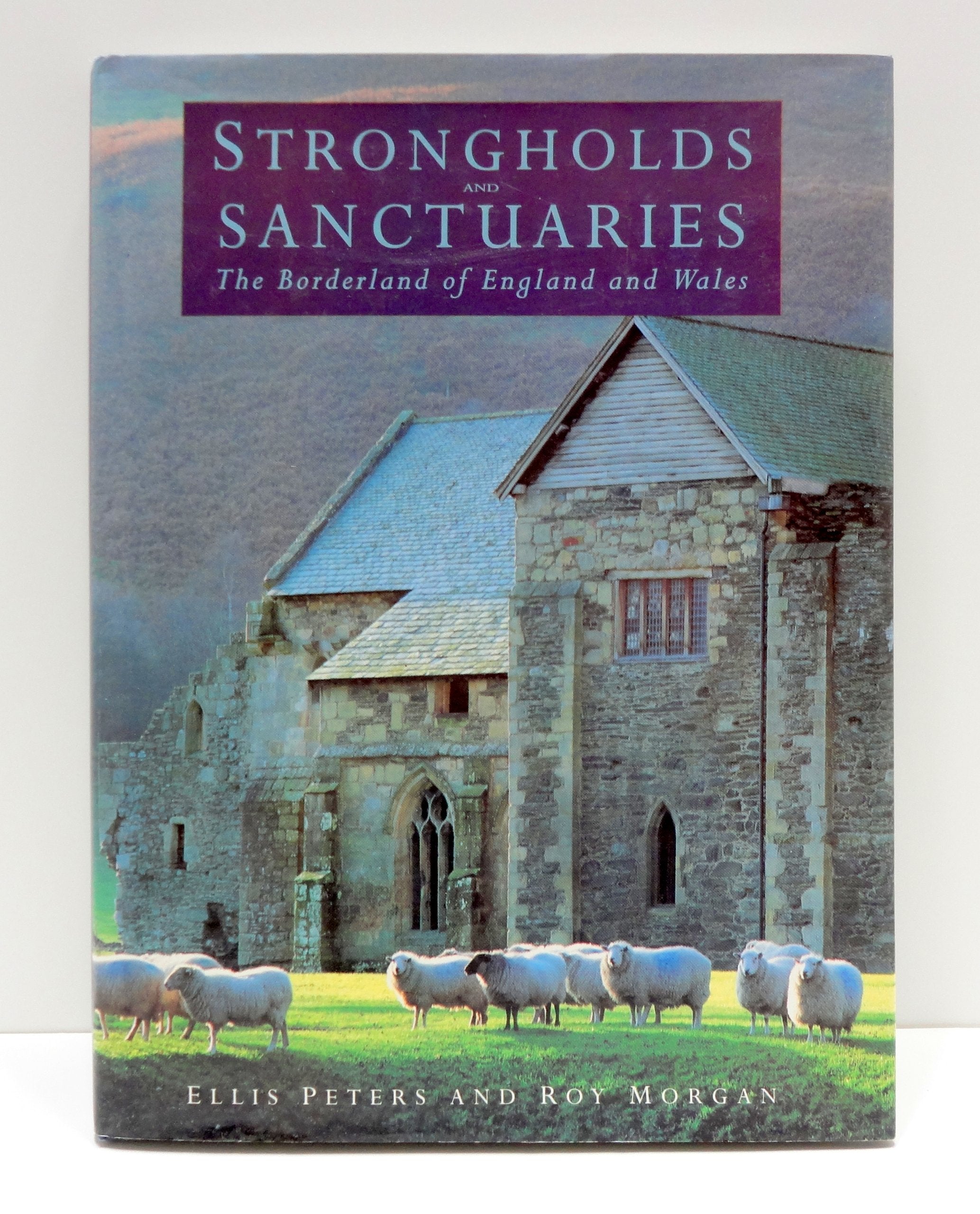 Strongholds and Sanctuaries: The Borderland of England and Wales (General history) Social Sciences