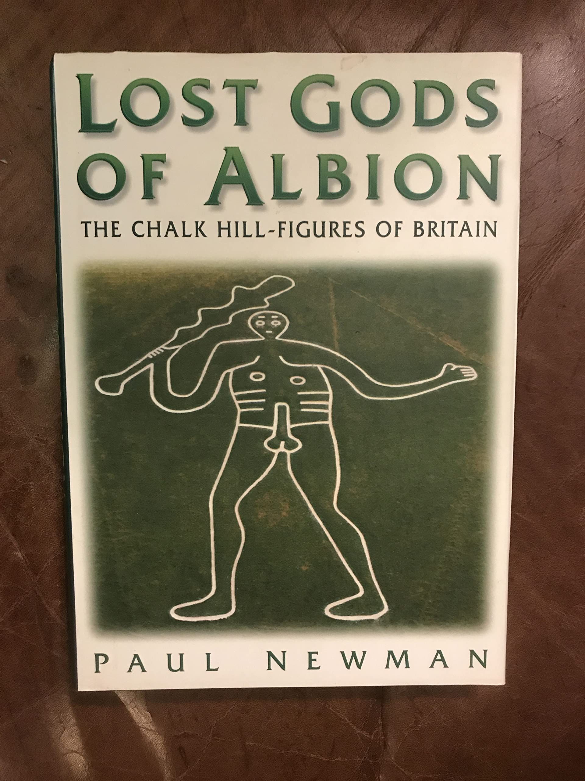 Lost Gods of Albion: The Chalk Hill-Figures of Britain book