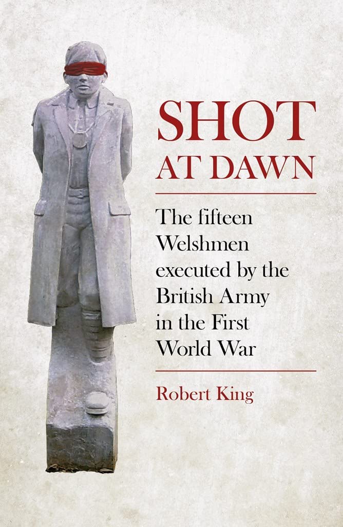 Shot at Dawn: The Fifteen Welshmen Executed by the British Army in the First World War Biographies & Memoirs