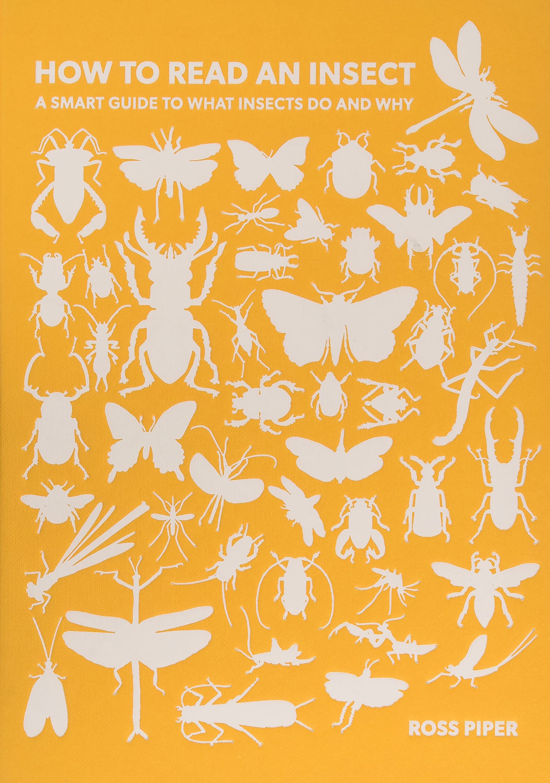 How to Read an Insect: A Smart Guide to What Insects Do and Why Mathematics